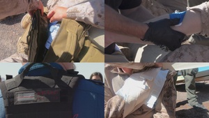 Lifesaving medical evacuation training coordinated by JTF-SB