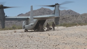 13th MEU BLT 2/4 Conducts a Simulated Sensing Expeditionary Advanced Base Mission | Broll