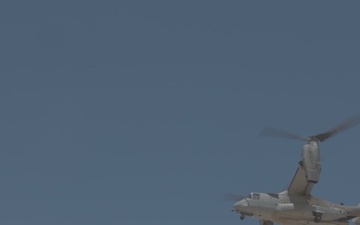 BLT 2/4 Conducts an Urban Raid