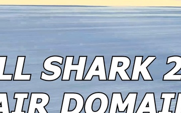 Bull Shark 26-2 Air Domain