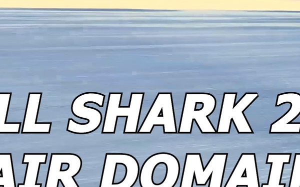 Bull Shark 26-2 Air Domain