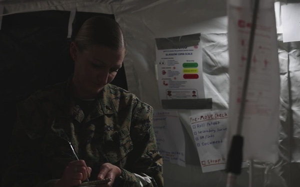 2nd Medical Battalion Certification Exercise