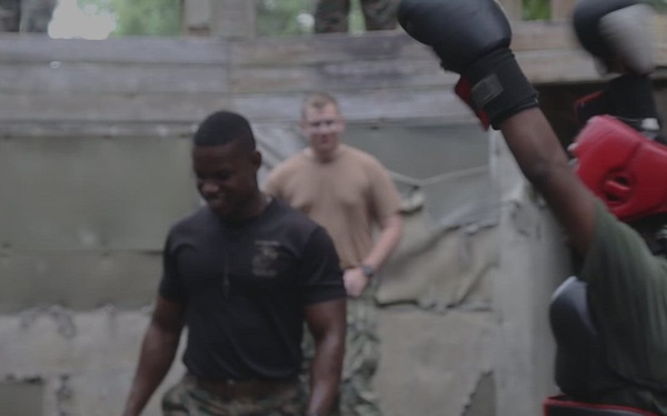 Delta Company Crucible