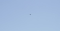 VMFA-231 conducts first flight with the F-35B Lightning II