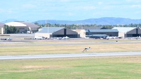 Preparations for Skyfest 2026