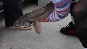 Portland Fleet Week 2026 Fallen Outdoors Sturgeon Derby