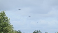 D-Day 82nd Anniversary - Paratrooper Jump
