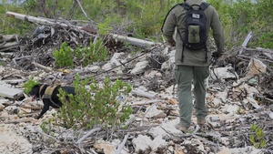 U.S. Coast Guard concludes Bahamas mission in Lynette Hooker disappearance investigation