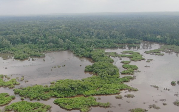 East Texas Pines and Ponds