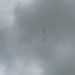 DDay 82: La Fière freefall jumps