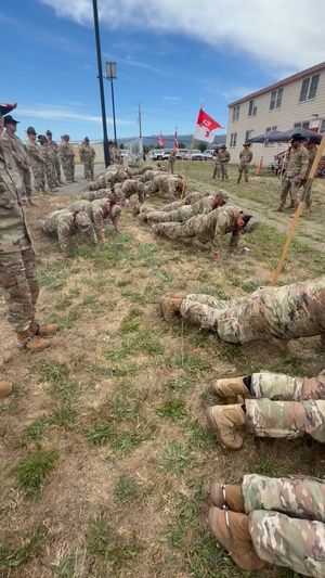 Operation Iron Spur, USAR Drill Sergeant, 2-415th Regiment, 98th Training Division,
