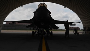 Wolf 66 takes her last flight as 8th FW CC