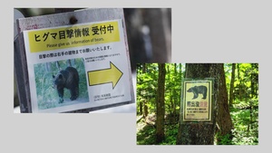 Bear Safety and Awareness in Japan - AFN Misawa