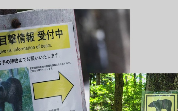 Bear Safety and Awareness in Japan - AFN Misawa