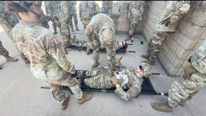 MEDEVAC Training at Fort McCoy