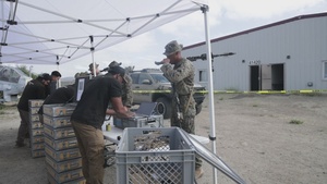 B-Roll: Marines with V2/5 and 1st LAR Conduct EOTG Mechanized Raid Course