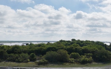 Aquatic Invasive Species on Lake Okeechobee