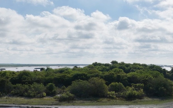 Aquatic Invasive Species on Lake Okeechobee