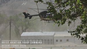 Desert Forge 26- 991st Aviation Troop Command Joint Training