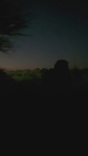 Operation Sentinel Justice: Opposing Forces Night Field Training B-roll