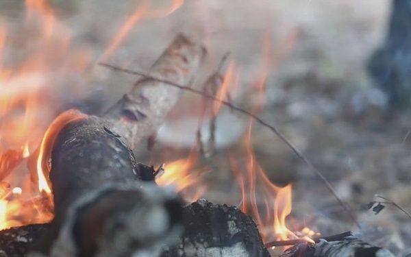 3rd Littoral Combat Team sustains jungle survival training in the Philippines