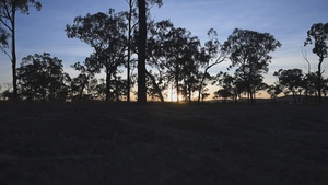 Placing obstacles: Exercise Southern Jackaroo, Queensland, Australia, 2026 (B-Roll)