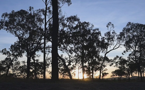 Placing obstacles: Exercise Southern Jackaroo, Queensland, Australia, 2026 (B-Roll)
