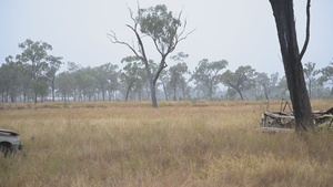 Simulated Blue Force assault, first casualty: Exercise Southern Jackaroo, Queensland, Australia, 2026 (B-Roll)