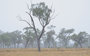 Simulated Blue Force assault, first casualty: Exercise Southern Jackaroo, Queensland, Australia, 2026 (B-Roll)