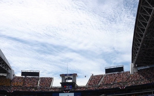 FIFA World Cup Flyover