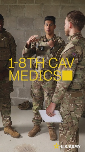 Day 1: 1-8 CAV Medics train with British Light Dragoons — Exercise Guard Streetfighter, Poland