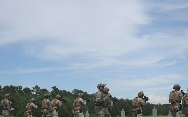 Fleet Exercise 250 | Multinational Precision Fire Range