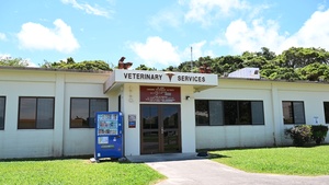 Your partner in pet health: Kadena veterinary clinic