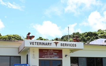 Your partner in pet health: Kadena veterinary clinic