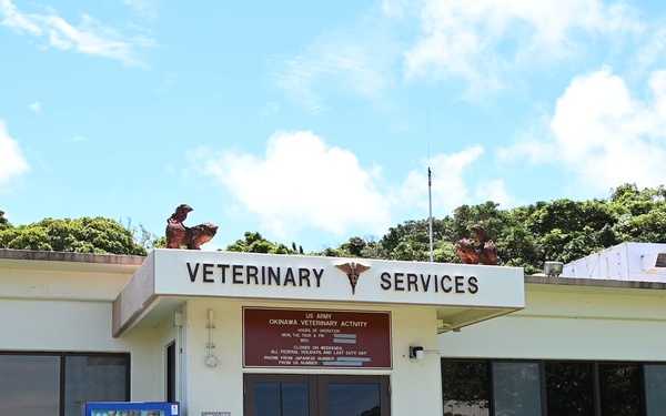 Your partner in pet health: Kadena veterinary clinic
