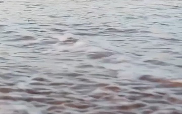 D-Day Anniversary Video (4x5)