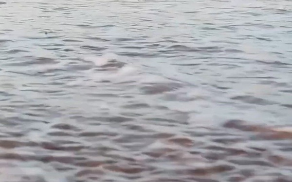 D-Day Anniversary Video (4x5)