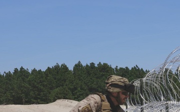 Fleet Exercise 250 | Multinational Assault Breach Training