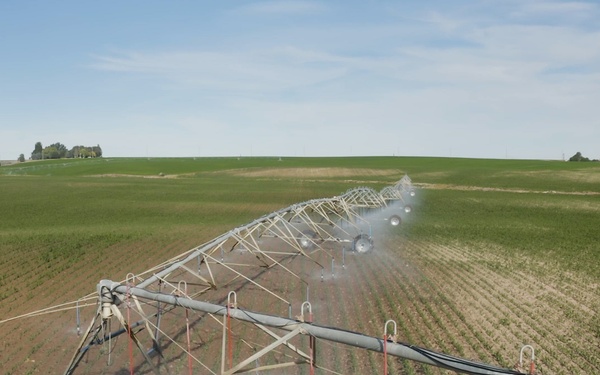 Package: Aerial of Irrigation Pivot in Idaho Corn Field