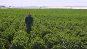 Package: Idaho Potato Farmer