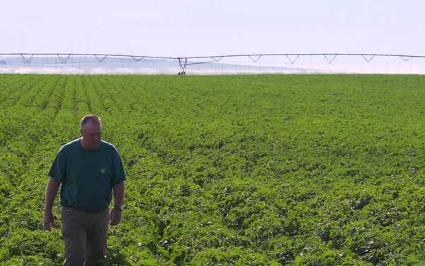 Package: Idaho Potato Farmer