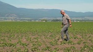 Package: Oregon Potato Farmer