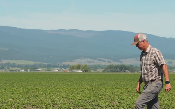 Package: Oregon Potato Farmer
