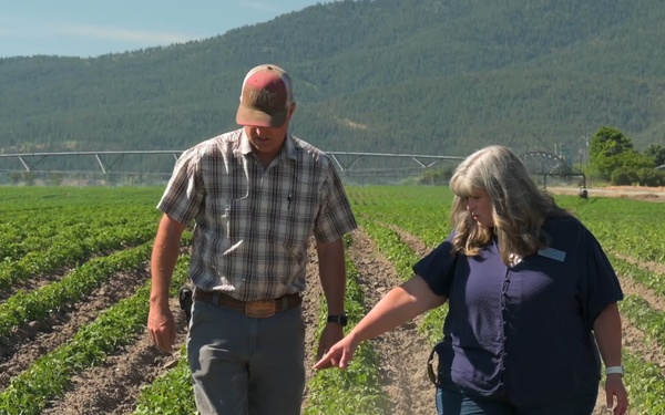 Package: Oregon Potato Farmer with FSA Employee
