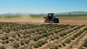 Package: Farmer Driving Side-by-Side