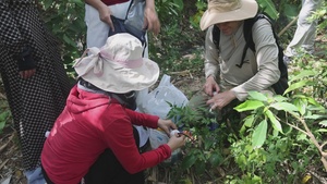 Pacific Friendship 2026: Vector Disease Surveillance Field Demonstration (B-roll)