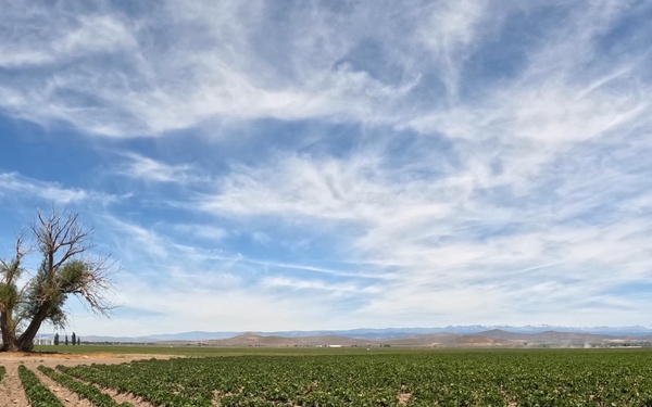 Timelapse of Oregon Potato Field