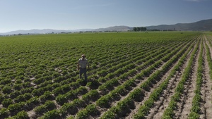 Package: Aerial of Oregon Farmer in Potato Field