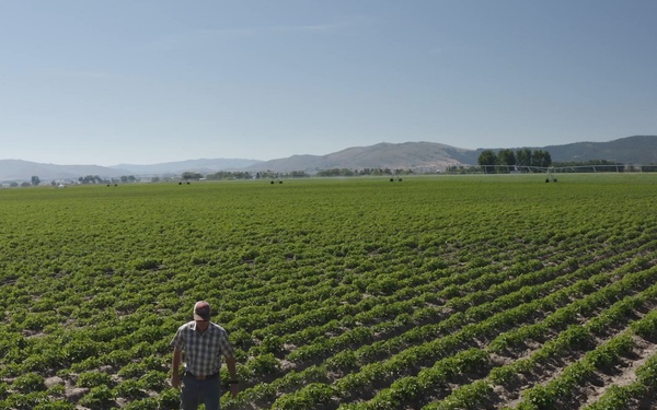 Package: Aerial of Oregon Farmer in Potato Field