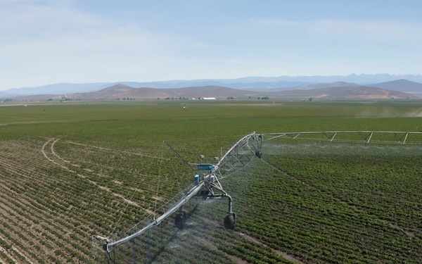 Package: Aerial of Irrigation Pivot on Oregon Potato field